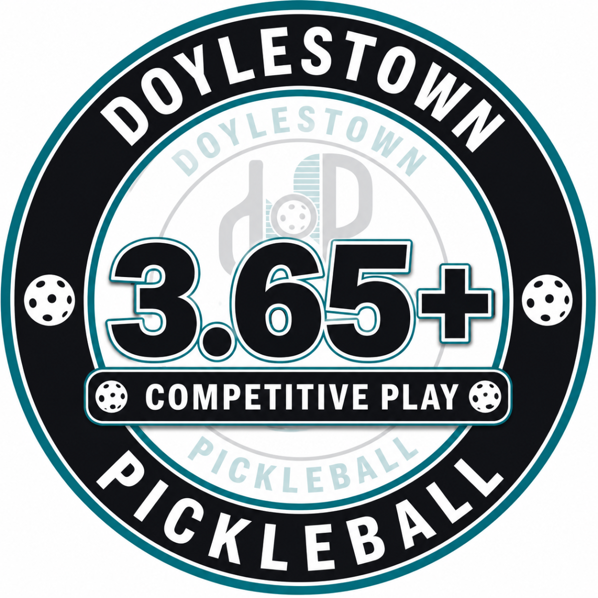 Doylestown 3.65+ Ladder Pickleball Ladder League