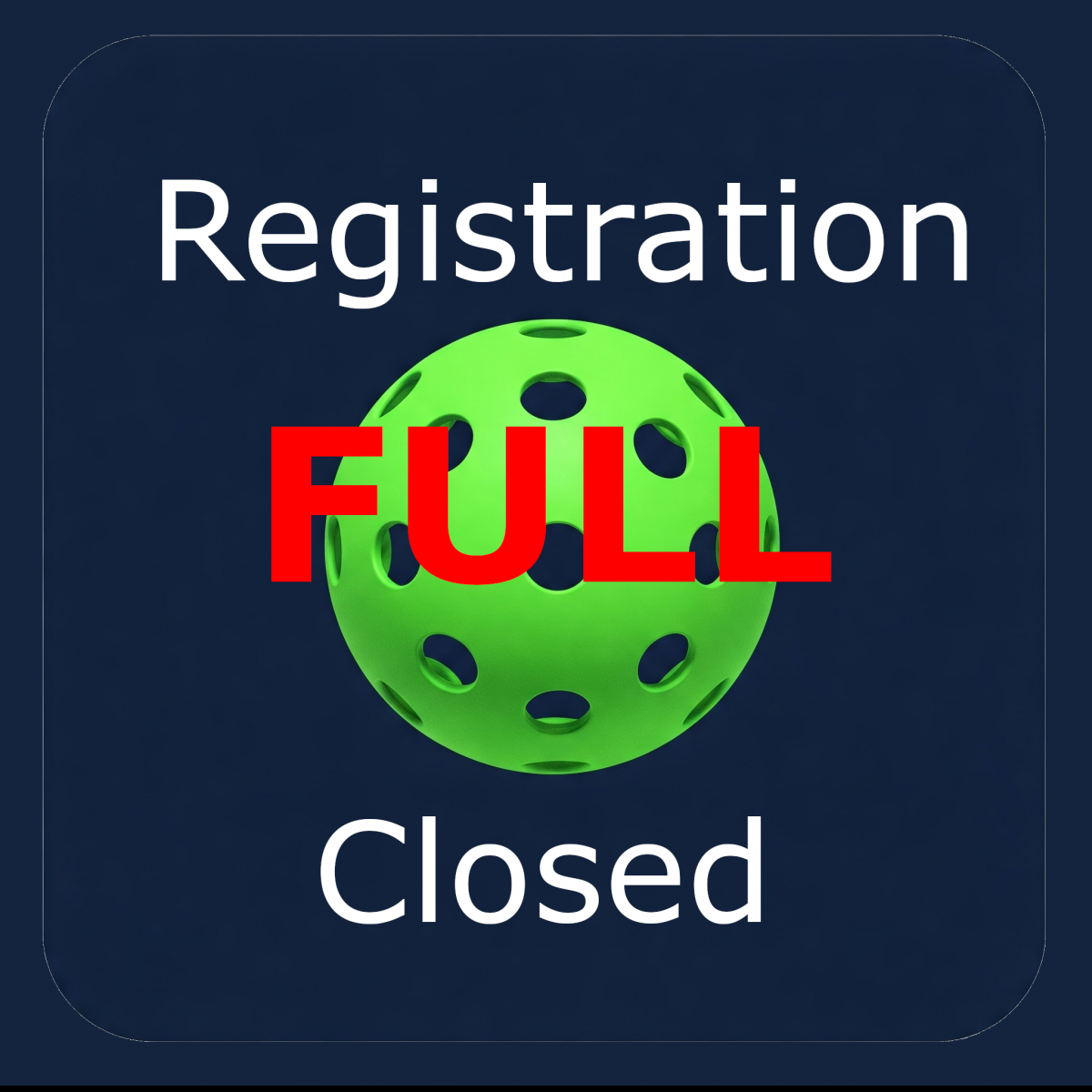 Daytime Partner League 2026 Pickleball Ladder League