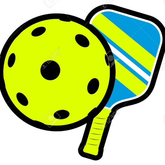 2026 Swanton Ladder Leagues Pickleball Ladder League
