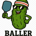 Verge / TD Pickleball Open Pickleball League